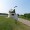 Wawa – The Home of the Geese
