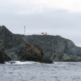 Twillingate – A Whale of a Time